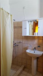 卡拉内拉帕里利亚一室公寓酒店 的一间带水槽和淋浴的浴室
