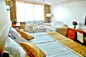 布达佩斯布达佩斯埃克托酒店的酒店客房设有一张大床和一间客厅。