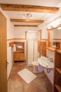 多比亚科Mutznhof的带淋浴、卫生间和盥洗盆的浴室
