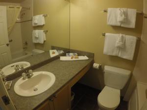 潘诺拉马豪瑟蒂芙全景度假酒店的一间带水槽、卫生间和镜子的浴室