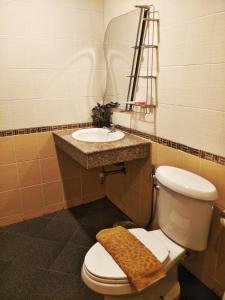 素可泰素可泰蓝屋酒店的一间带卫生间和水槽的浴室