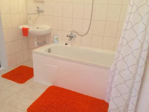 奥洛穆茨Apartment Olomouc Centre的带浴缸和盥洗盆的浴室