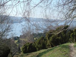 霍布罗布拉姆斯勒维嘎德酒店的从树木茂密的山丘上欣赏湖景