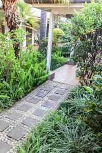 弗莱海德Oxford Lodge Vryheid的一个带石头走道和植物的花园