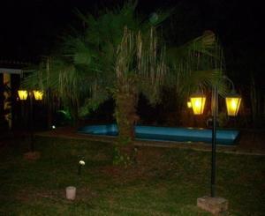 伊瓜苏港El Guembe Hostel House的游泳池畔的棕榈树