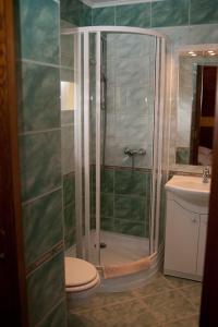 巴拉顿城堡霍尔普潘子奥酒店的带淋浴、卫生间和盥洗盆的浴室