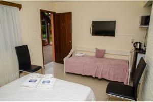 萨尔托Apart Hotel Natural del Daymán的一间卧室配有一张床、一台电视和一张桌子
