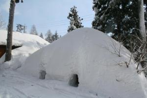 白马村白马村桑塔纳住宿加早餐旅馆的冰屋,在院子里被雪覆盖