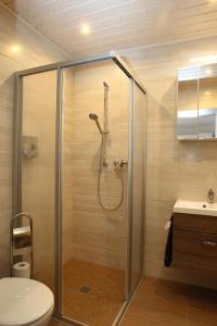 格赖茨Ferienwohnung Kopp II的带淋浴、卫生间和盥洗盆的浴室