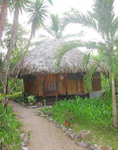 蓬塔戈尔达Sun Creek Lodge的茅草屋顶和棕榈树的小小屋