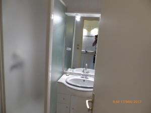 乌尔坦Gênois 1的一间带水槽和镜子的浴室