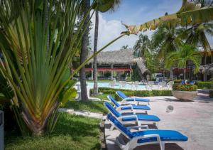 阿卡普尔科Hotel Bali-Hai Acapulco的游泳池旁的一排蓝色躺椅