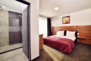 蒂米什瓦拉总统酒店 的酒店客房设有一张床和一个步入式淋浴间。