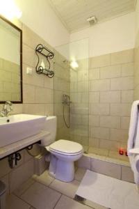 塞沃塔波利克希尼别墅酒店的浴室配有卫生间、盥洗盆和淋浴。