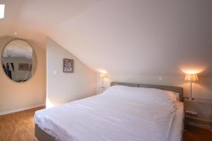 弗里堡Aparthotel Hine Adon Fribourg的卧室配有白色的床和镜子