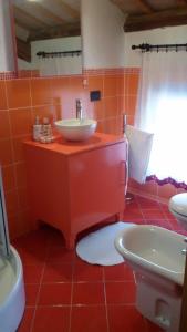 奇塔代拉Affittacamere Ai Fiori的橙色浴室设有水槽和卫生间
