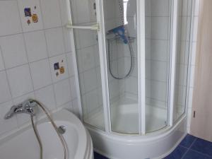 MeßstettenFerienwohnung Janko的浴室设有淋浴,位于厕所旁边