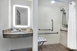 大学城Holiday Inn & Suites College Station-Aggieland, an IHG Hotel的一间带水槽和淋浴的浴室