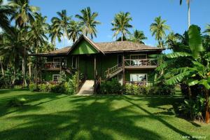 贝卡岛Beqa Lagoon Resort的一座棕榈树环绕的绿色房子