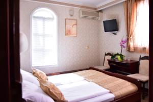 贝尔格莱德加尼拉佛酒店的一间卧室设有一张床、一个窗口和一台电视。