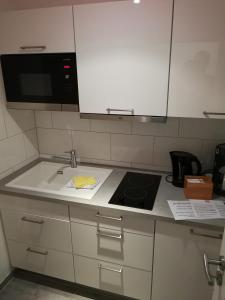 科隆科隆公寓酒店的厨房柜台配有炉灶和微波炉