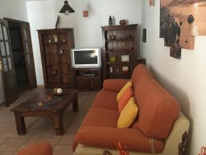 阿雷西费Casa Daniela的带沙发和电视的客厅