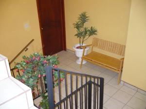 萨卡特卡斯科尔特斯之家酒店的走廊上设有长凳、卫生间和植物
