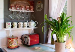 圣塔克里斯蒂纳阿鲁Casa Rosa Garden House的厨房柜台配有烤面包机和植物