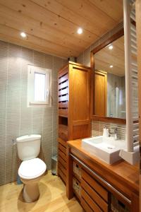 巴斯洛内特Chalet Barcelonnette的一间带卫生间和水槽的浴室