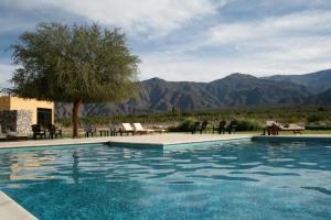卡法亚特阿塔拉鲁那精品酒店&Spa的一个带椅子的游泳池,一个树和山脉