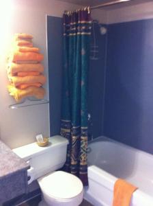 坎卢普斯骑士汽车旅馆的一间带卫生间和淋浴帘的浴室