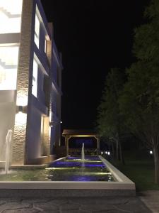 大湖乡夏内尔落羽松民宿的夜间在建筑物前的喷泉