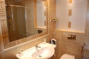 姆拉哥沃Panoramic-Oscar的一间带水槽、镜子和卫生间的浴室