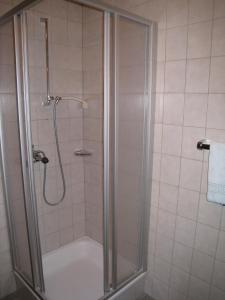 佩特诺伊阿尔贝格Haus Birgit的浴室里设有玻璃门淋浴