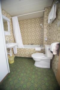 阿罗萨Hotel Hold AG的一间带卫生间和水槽的浴室