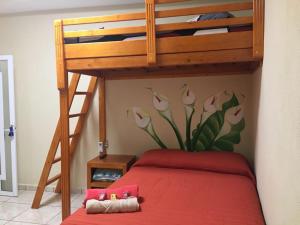 希利特拉Hotel Jovita的卧室配有一张双层床,墙上挂着花卉壁画