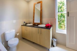 伊丽莎白港B's Place的一间带卫生间、水槽和镜子的浴室