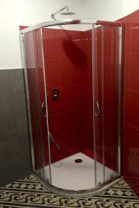 罗马Affittacamere ROMA FLAMINIO的浴室里设有玻璃门淋浴
