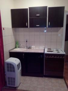 沙巴茨Apartment Viktor 2 stan na dan的厨房配有炉灶、水槽和微波炉
