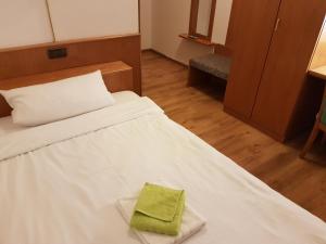 普福尔茨海姆拉姆酒店的一间房间,床上有绿毛巾
