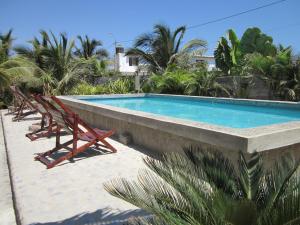 曼克拉Guacamayo Bed & Breakfast的游泳池旁边摆放着一排椅子