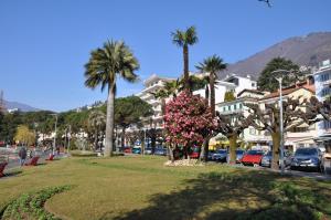 洛迦诺吉拉尼奥拉克酒店的一座种有棕榈树和鲜花的公园