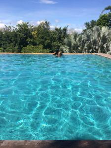 班杜清莱住宿加早餐酒店的在大型蓝色游泳池游泳的人
