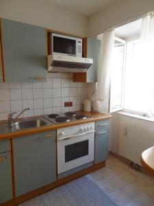 维也纳Your Home In Vienna的厨房配有炉灶、水槽和微波炉