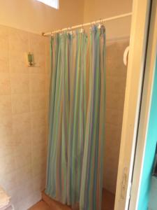 埃博森La Casa De La Abuela Departamentos的带淋浴和浴帘的浴室