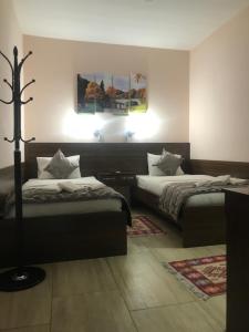 新帕扎尔普莱诺斯特DM5旅馆的一间卧室配有两张床和一盏灯。