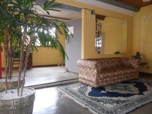 夸特鲁巴拉斯Pousada da Serra的带沙发和植物的客厅