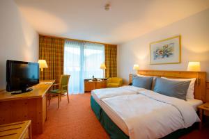 伦格里斯阿拉贝拉布劳内克酒店的配有一张床和一台平面电视的酒店客房
