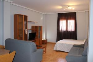 帕尔拉阿帕塔帕尔拉别墅酒店的一间卧室配有一张床、一张沙发、一张床和一台电视。