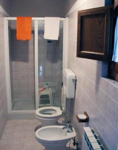 卡斯特利纳-因基安蒂Agriturismo capanna delle Cozzole的浴室配有卫生间、盥洗盆和淋浴。